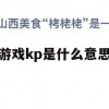 游戏攻略，揭秘游戏KP的含义及攻略技巧