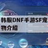 韩服DNF手游SF宠物介绍及攻略