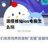 游戏攻略，混搭修仙iOS & 电脑版玩法指南