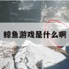 游戏攻略，鲸鱼游戏揭秘与攻略