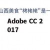 Adobe CC 2017 游戏攻略