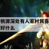 桃源深处有人家游戏攻略，探索村民喜好，解锁神秘世界