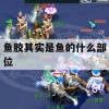 鱼胶其实是鱼的什么部位(鱼胶其实是鱼的什么部位图片)