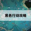 黑色行动游戏攻略