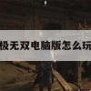 极无双电脑版游戏攻略