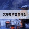 游戏攻略，咒印君麻吕带什么