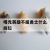 曙光英雄不屈勇士什么段位(曙光英雄不屈勇士什么段位可以打)