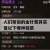 游戏攻略，探索神秘蔬菜——人们常说的金针菜其实是什么？