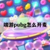 端游PUBG如何开启麦，全方位麦声攻略