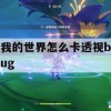 我的世界怎么卡透视bug(我的世界怎么卡透视bug不用沙子)