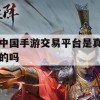 中国手游交易平台攻略，揭秘真实性与交易技巧