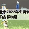 北京2022年冬奥会的吉祥物是(北京2022年冬奥会的吉祥物是谁)