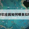 游戏攻略，摩尔庄园如何喂食拉姆