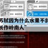 苏轼因为什么水果不辞长作岭南人”(苏轼因为什么水果不辞长作岭南人荔枝樱桃)