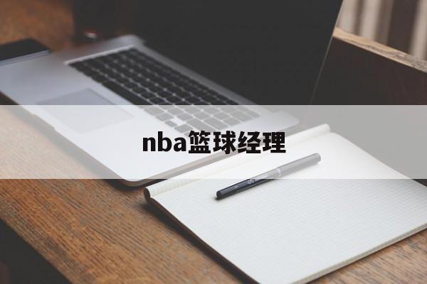 nba篮球经理(nba篮球经理传奇选秀无敌版)