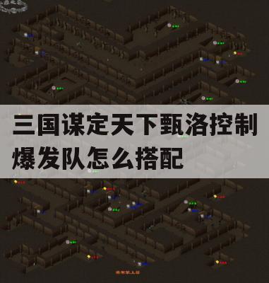 三国谋定天下甄洛控制爆发队怎么搭配(谋定三国怎么样)