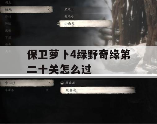 保卫萝卜4绿野奇缘第二十关通关技巧