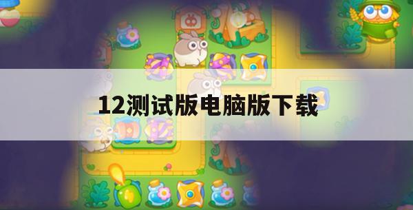 12测试版电脑版下载(ios12测试版下载)