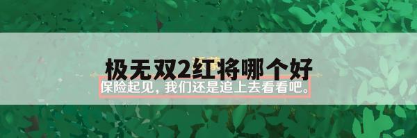 极无双2红将哪个好(极无双红将升星需要多少碎片)