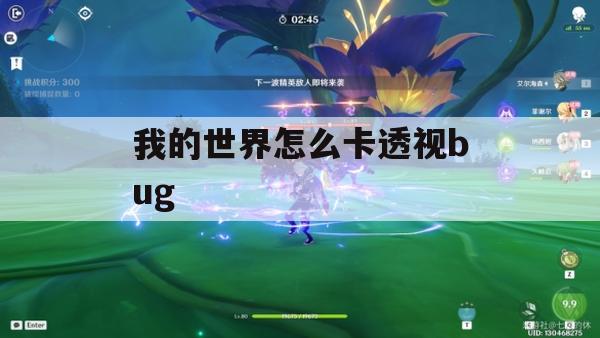 我的世界如何解决卡透视bug