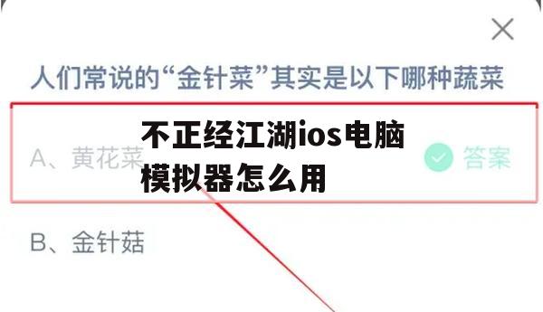 不正经江湖ios电脑模拟器怎么用(不正经修仙ios礼包兑换码)