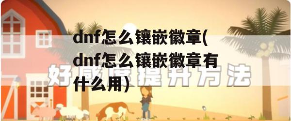 dnf怎么镶嵌徽章(dnf怎么镶嵌徽章有什么用)(dnf怎样镶嵌徽章)