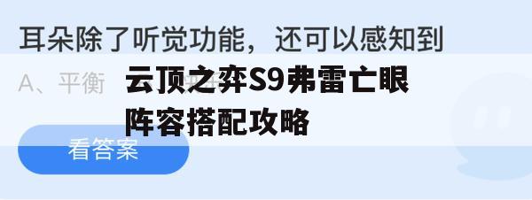 云顶之弈S9弗雷亡眼阵容搭配攻略