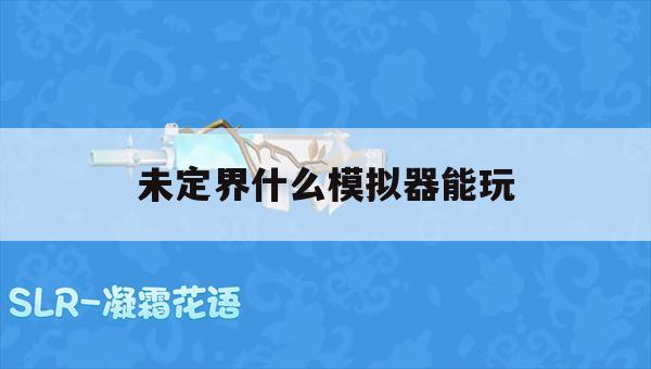 游戏攻略，未定界模拟器选择及使用指南