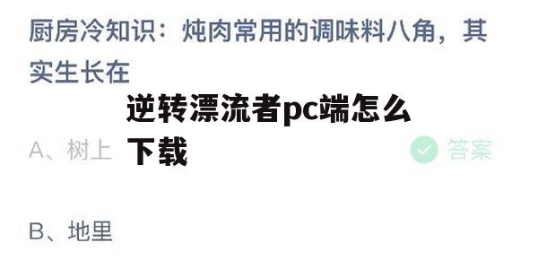 逆转漂流者PC端下载攻略及游戏心得