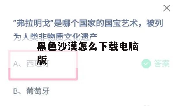 游戏攻略，黑色沙漠电脑版下载与安装详解