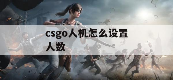 CS:GO人机对战设置人数攻略