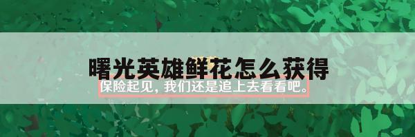 鲜花，作为曙光英雄游戏中的重要资源，承载着提升英雄实力、解锁新英雄和丰富游戏体验等多重功能，以下是关于鲜花的重要性和获取途径的详细解析，以及一些高效获取鲜花的方法。