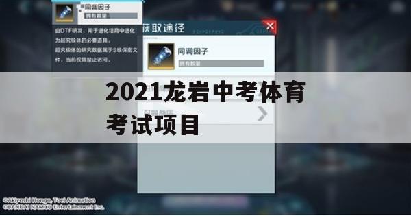 2021龙岩中考体育考试项目攻略