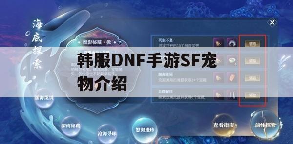 韩服DNF手游SF宠物介绍及攻略