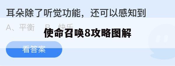 使命召唤8攻略图解