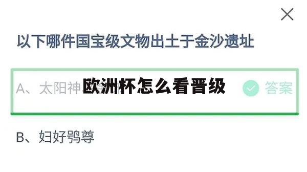 欧洲杯观赛晋级攻略，全方位解析如何洞察比赛局势