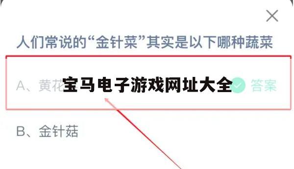 游戏攻略，宝马电子游戏网址大全