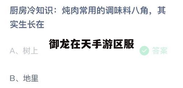 御龙在天手游区服攻略，畅游九州，龙腾四海