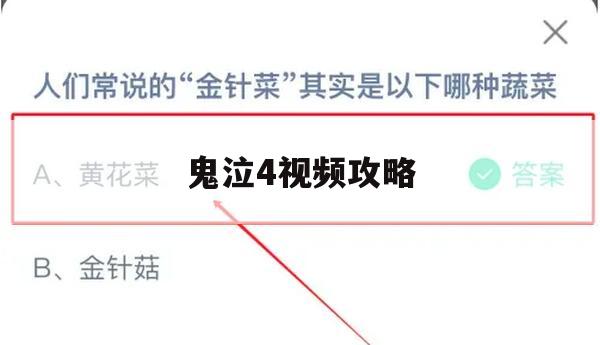 游戏攻略，鬼泣4视频攻略详解