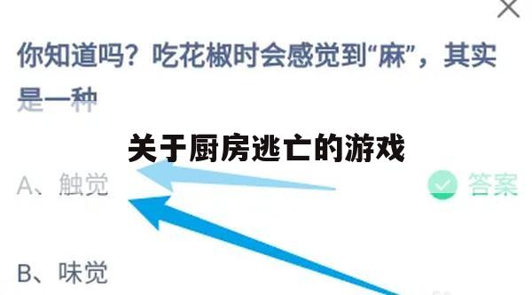 游戏攻略，厨房逃亡全攻略，轻松逃脱危险境地