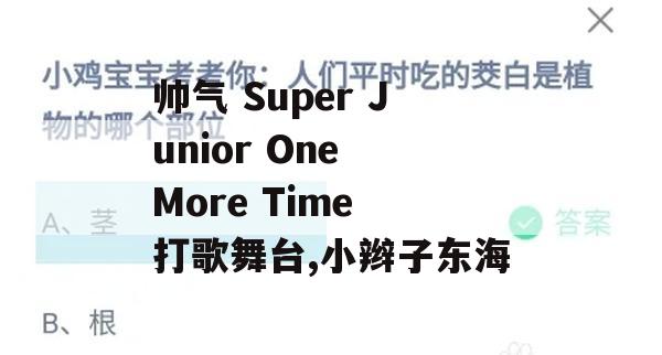 游戏攻略，帅气 Super Junior One More Time 打歌舞台，小辫子东海篇